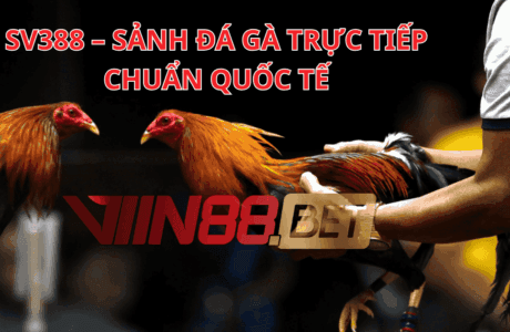 lấy trang đá gà SV388 giá gốc