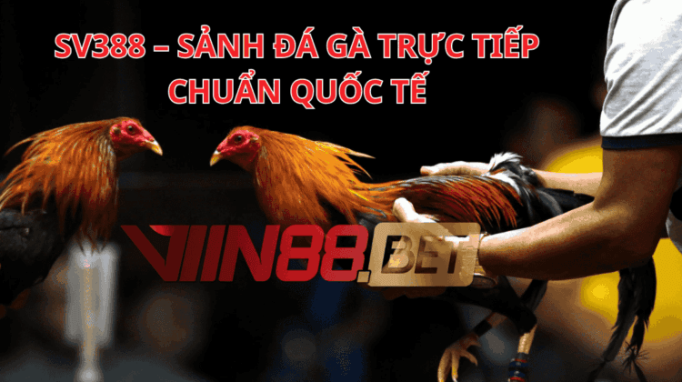 lấy trang đá gà SV388 giá gốc