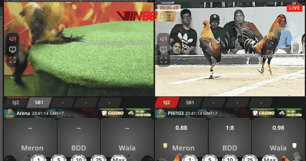 lấy trang đá gà SV388 giá gốc