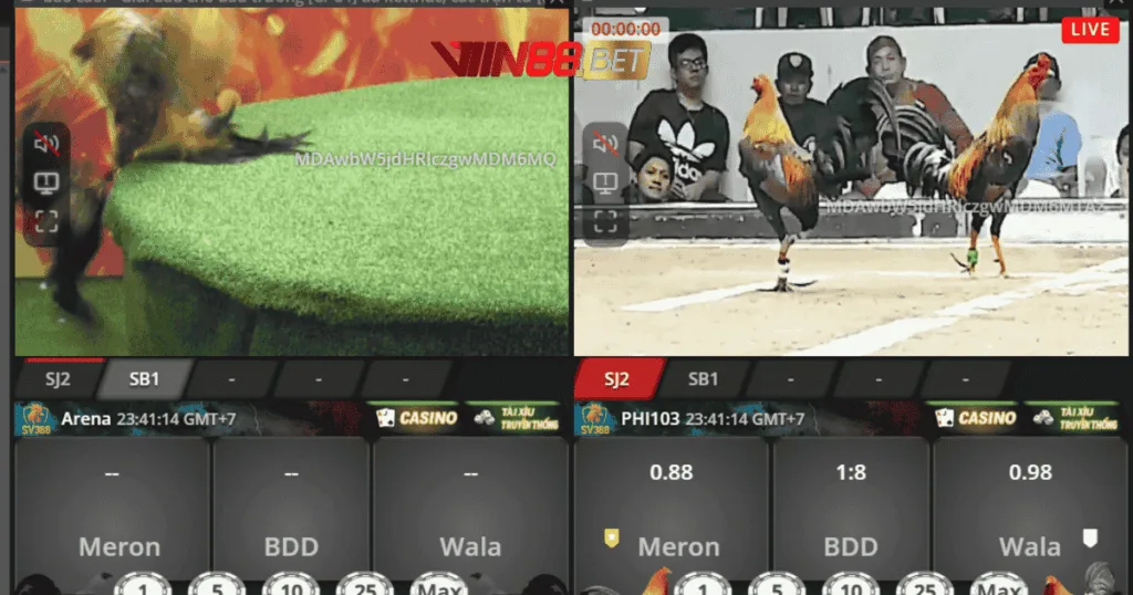 lấy trang đá gà SV388 giá gốc