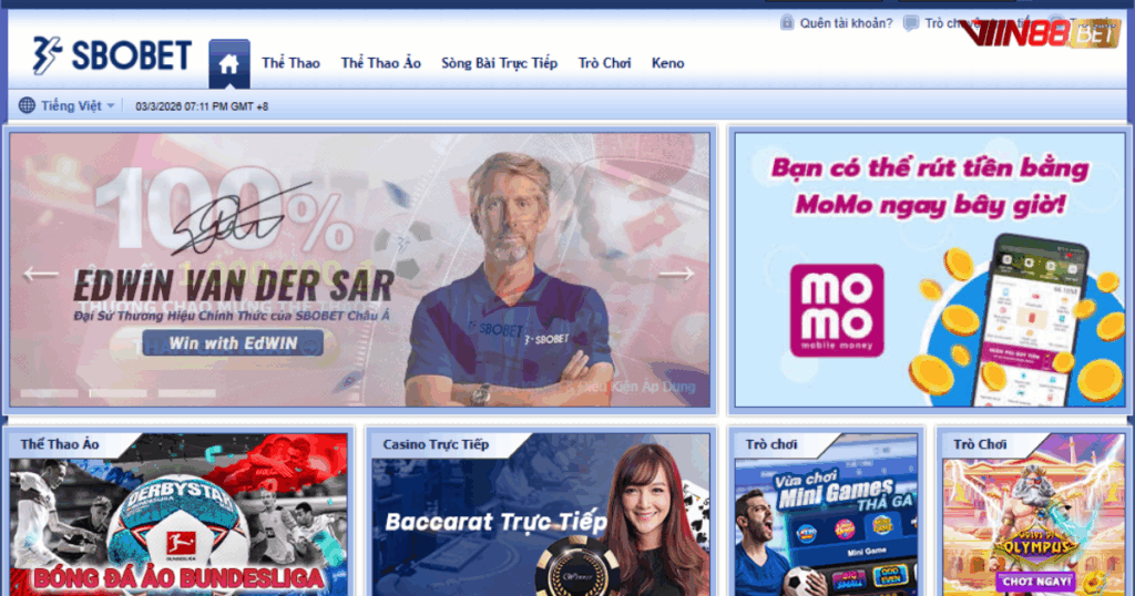 cá cược thể thao