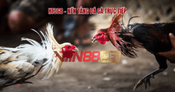 đá gà trực tiếp