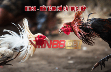 đá gà trực tiếp