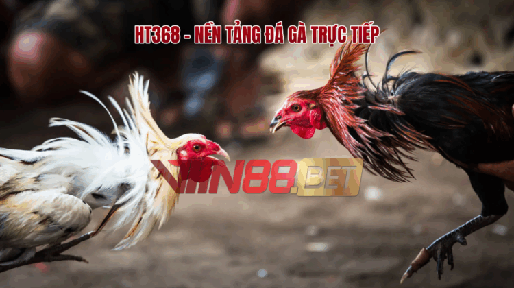 đá gà trực tiếp