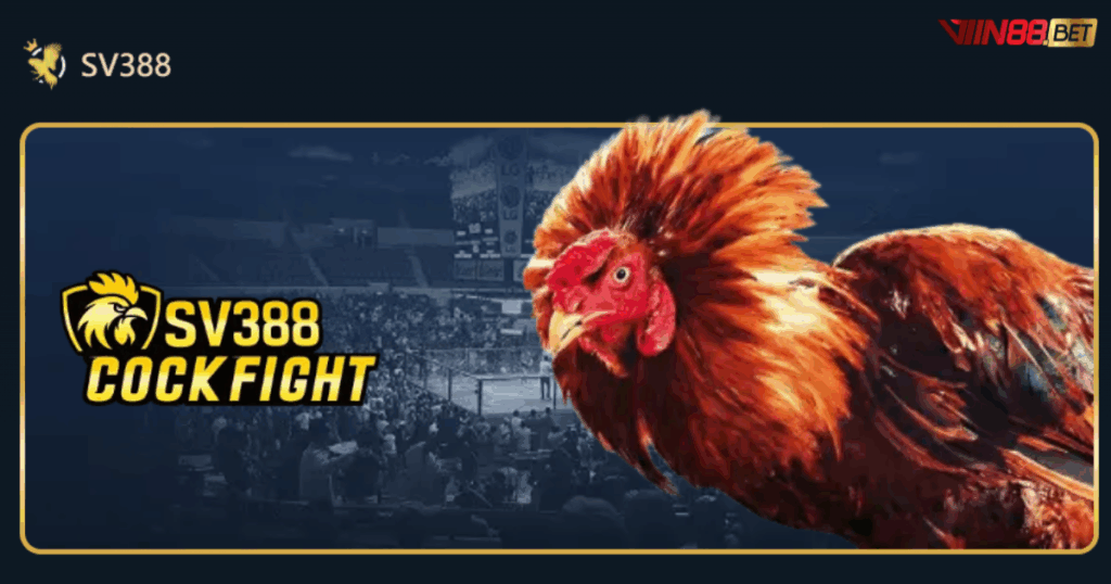 đá gà trực tiếp