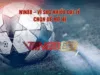 phân phối iGaming