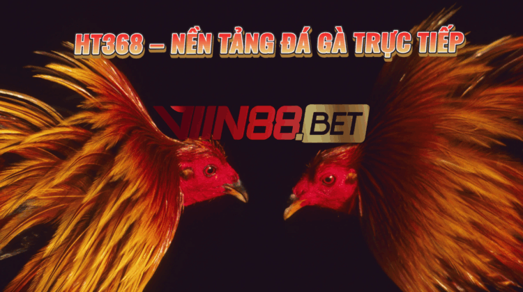 đá gà trực tiếp