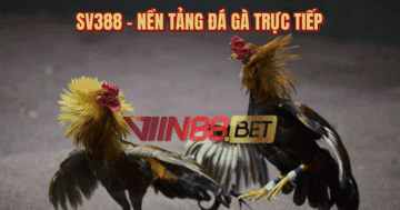 đá gà trực tiếp