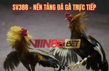 đá gà trực tiếp