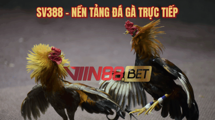 đá gà trực tiếp