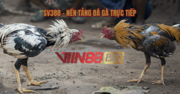 đá gà trực tiếp