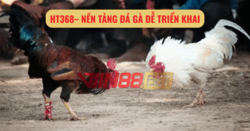 đá gà trực tiếp