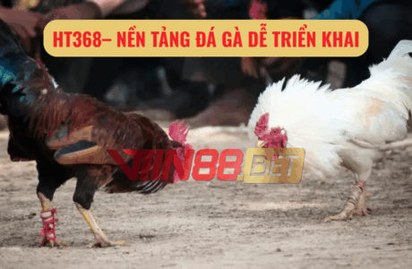 đá gà trực tiếp