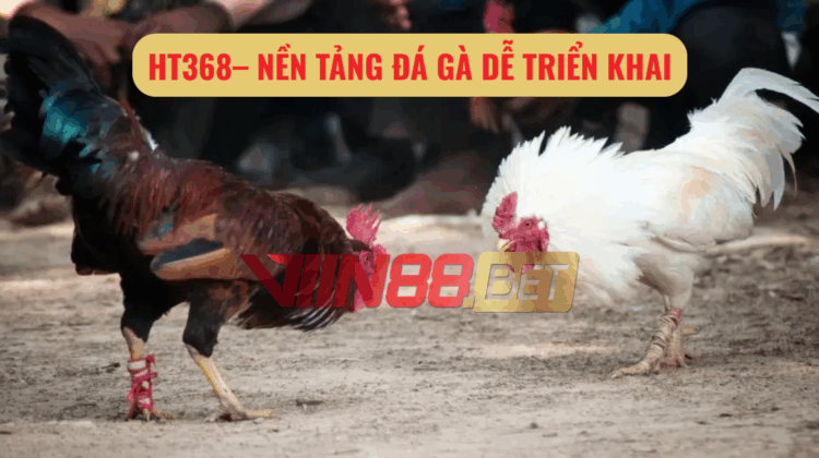 đá gà trực tiếp