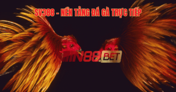 đá gà trực tiếp