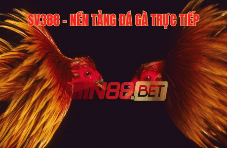 đá gà trực tiếp