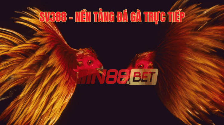 đá gà trực tiếp
