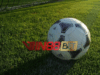Win88